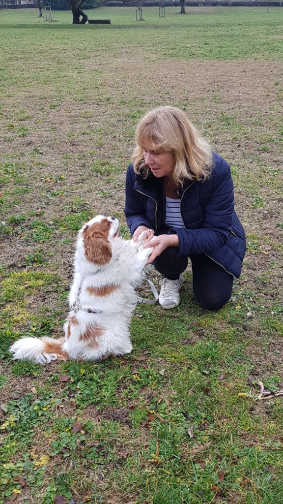 corinne communication animale orna. 576x1024 1.jpg