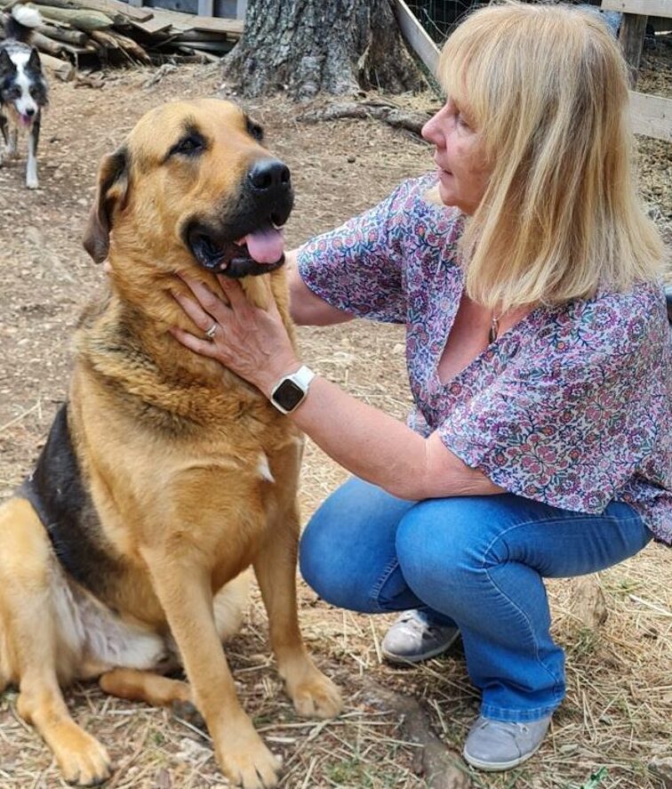 photo avec chien